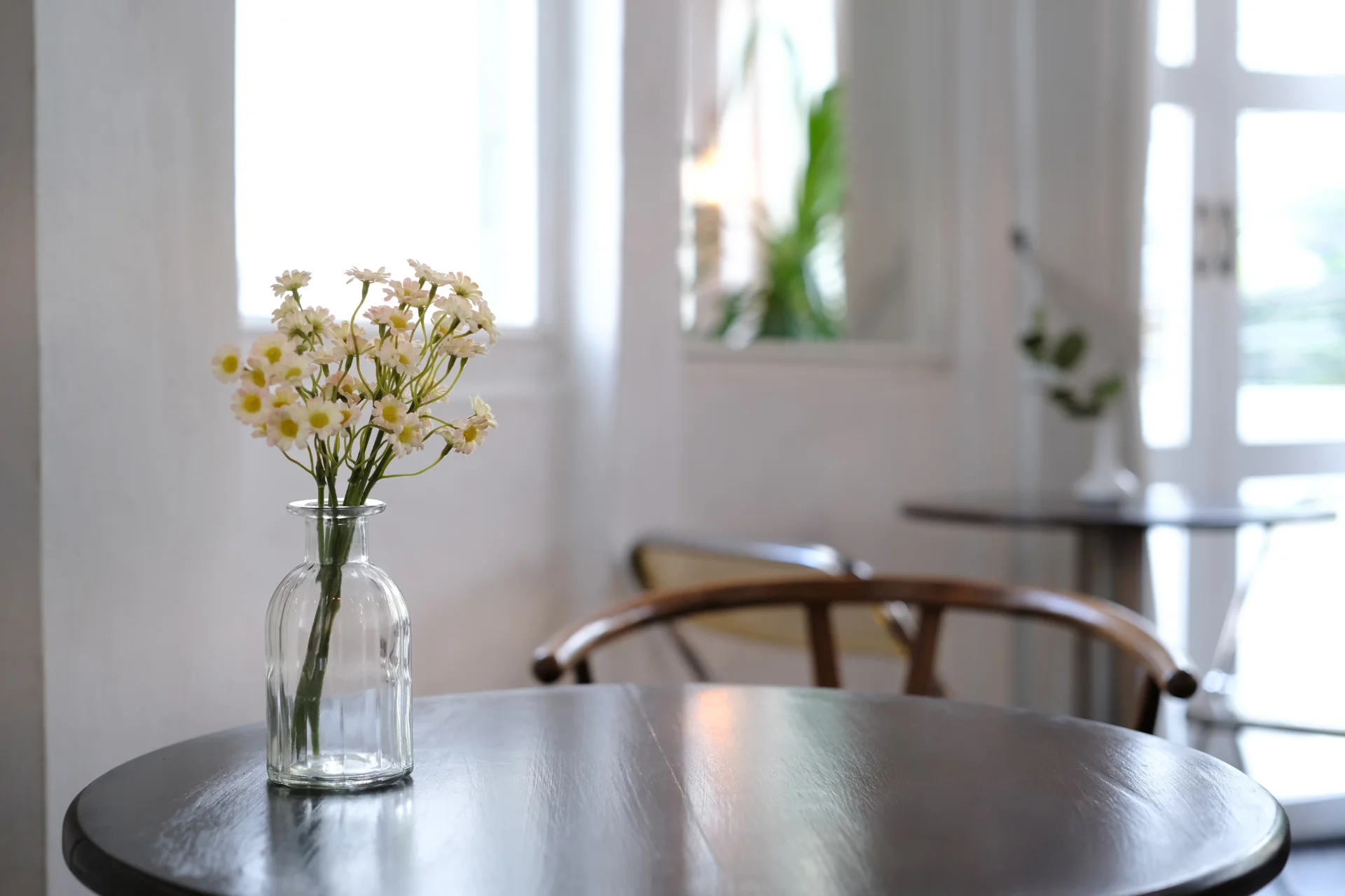 beautiful bouquet of daisies in glass vases on woo 2026 03 16 00 32 24 utc